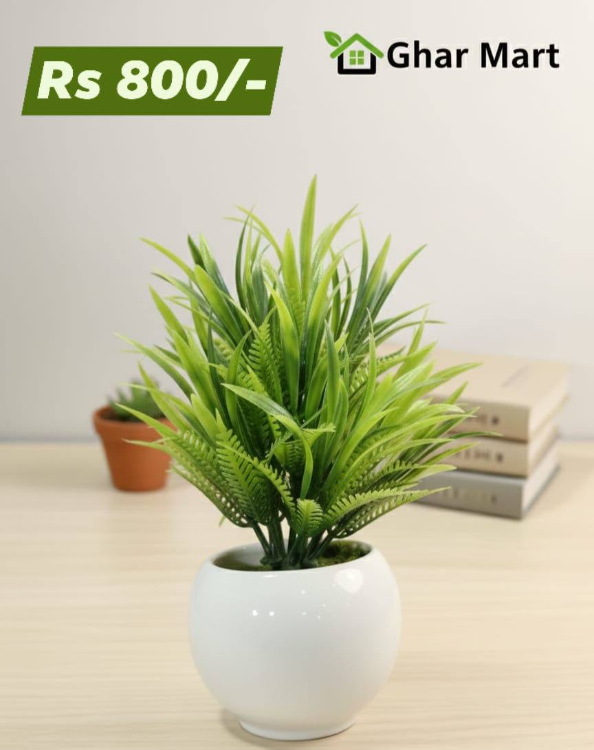 Mini pots with Plants ☘️