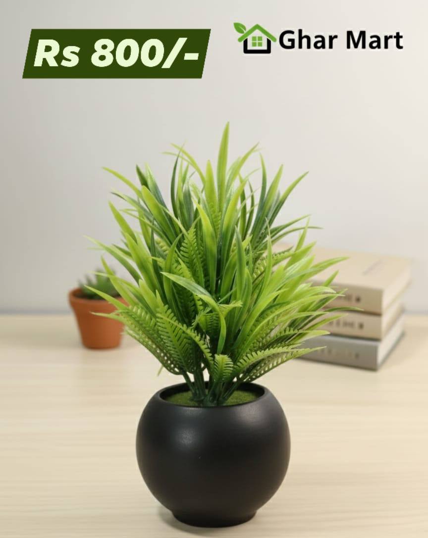 Mini pots with Plants ☘️